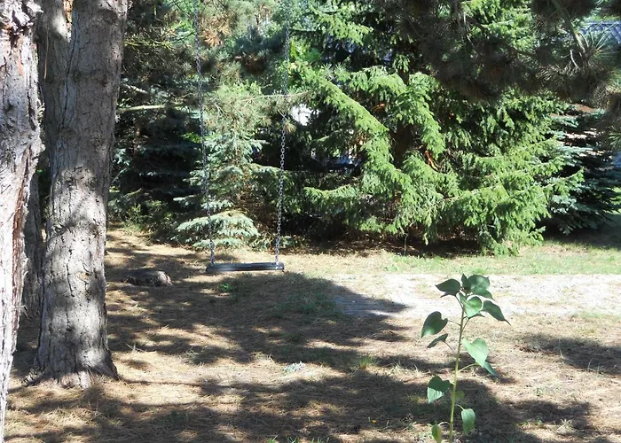 Дом отдыха Michelson